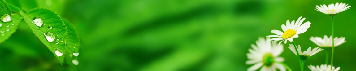 skinali-4655