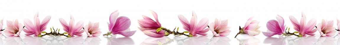 skinali-4949