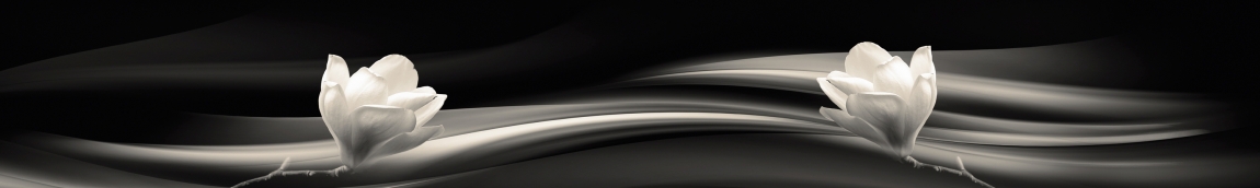 skinali-5061