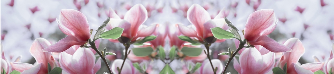 skinali-5078