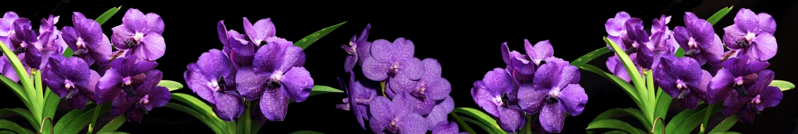 skinali-5280