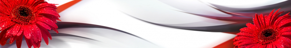 skinali-5606